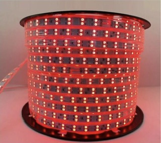 Red Snake Light