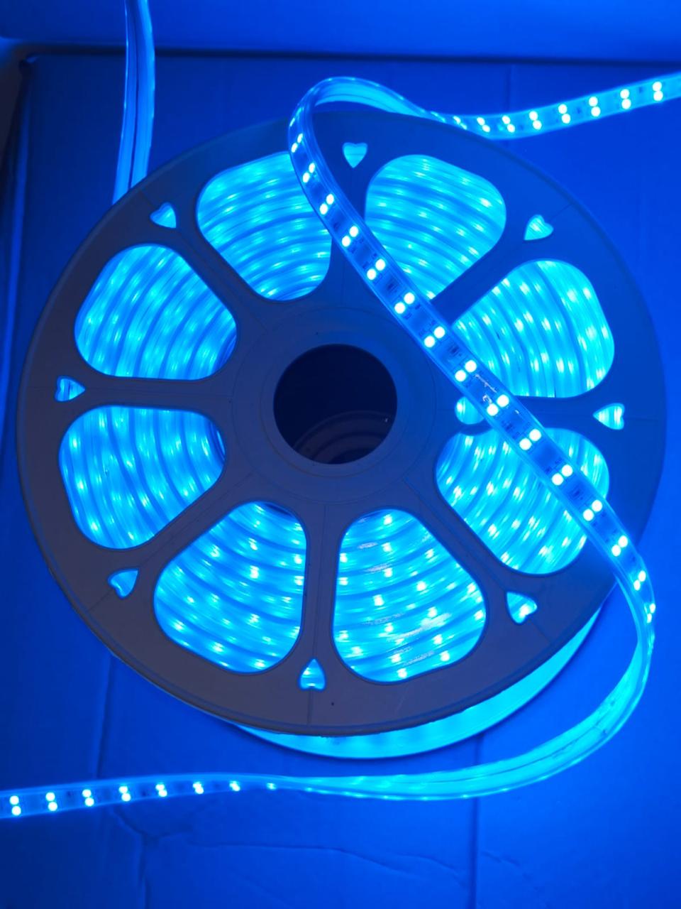 Blue Snake Light