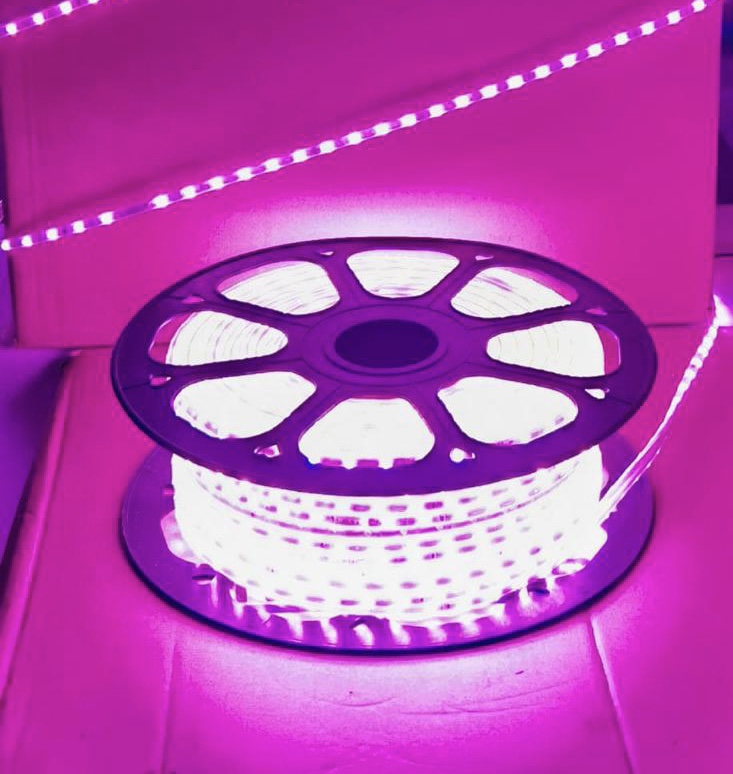 Pinksnake Light